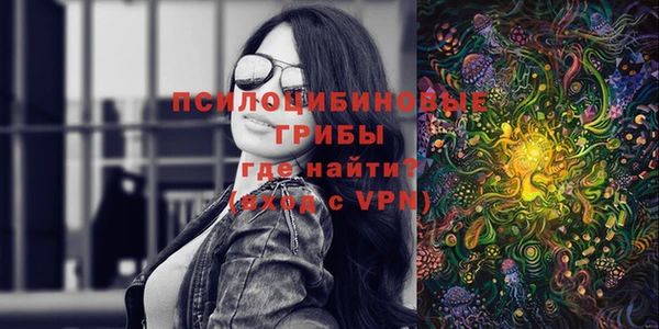 spice Абаза